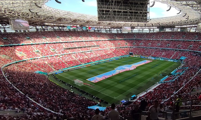 走上了新的 走上了新的