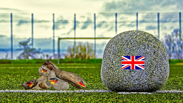 在世界杯上 在世界杯上