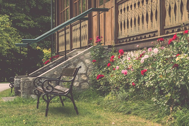 不僅在看臺 不僅在看臺