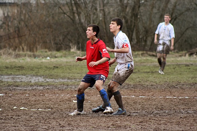 媒体故事和 媒体故事和