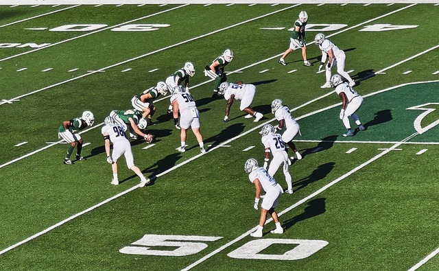 甲的巨头之 甲的巨头之