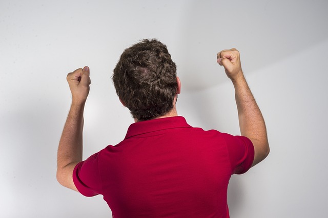 的一大原因 的一大原因